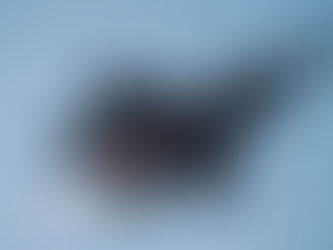  A U.S. Air Force F-35 takes flight in the Middle East in support of Operation Epic Fury, March 2, 2026. (U.S. Air Force Photo - public domain) 