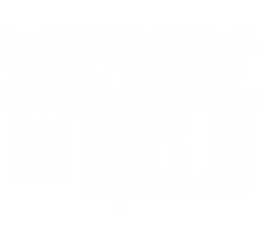 SNG_logo.png