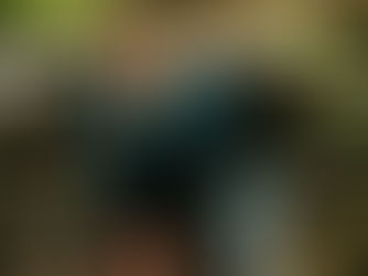 Still Blue’s ‘Brushstrokes’: A Tender and Reflective Indie-Folk Gem