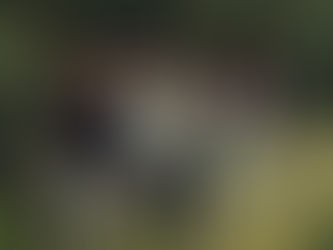 Los Costureros release a seductive, Latin-inflected debut shaped by Spain, storytelling and late-night kitchen-table magic