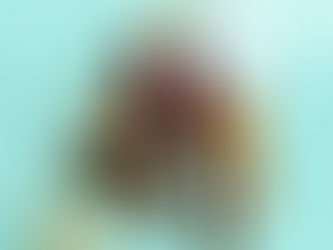 Indie-Rock Band 'Viruette' Release Whimsical New Single 'Maimed'