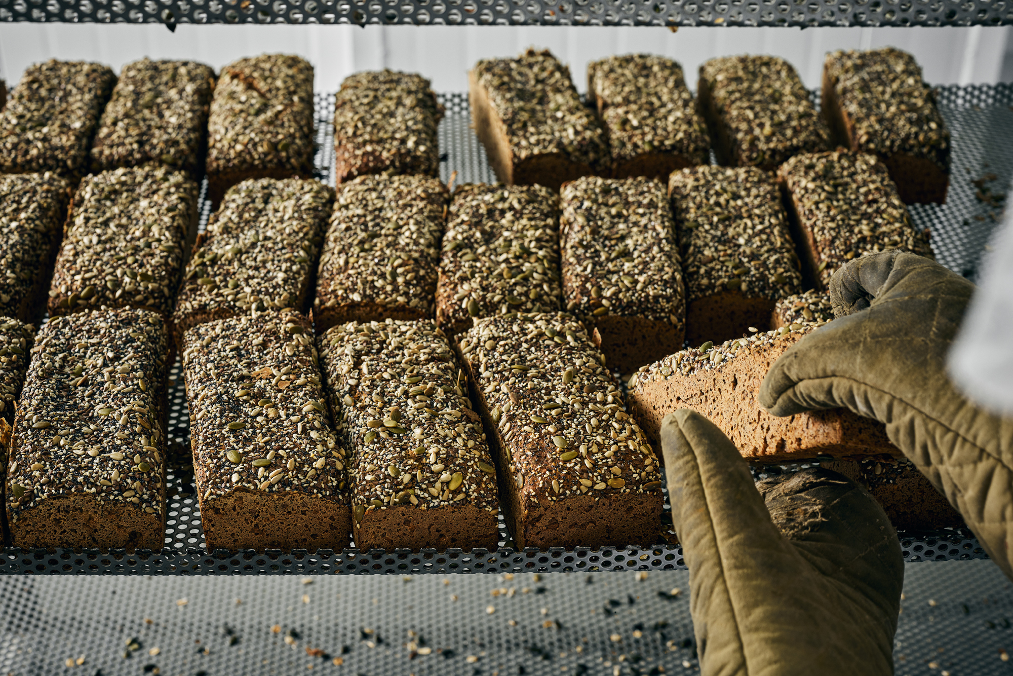 Rolladin 16.6.2114110.jpg