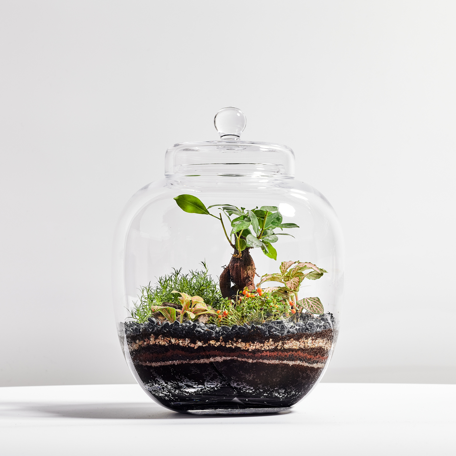 Choose 10.2.214326.jpg