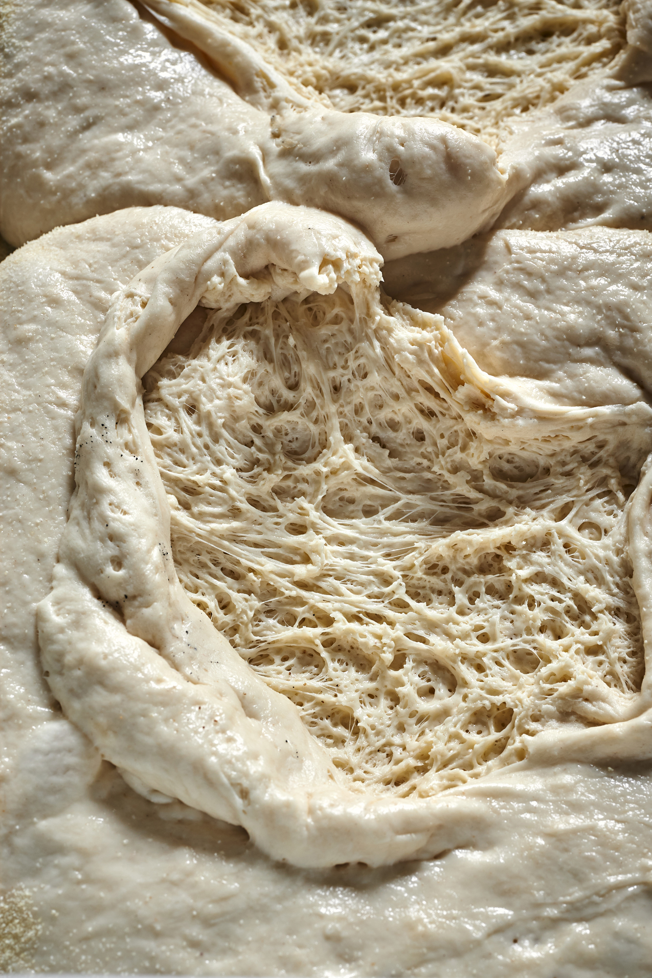 Untitled Capture7655.jpg