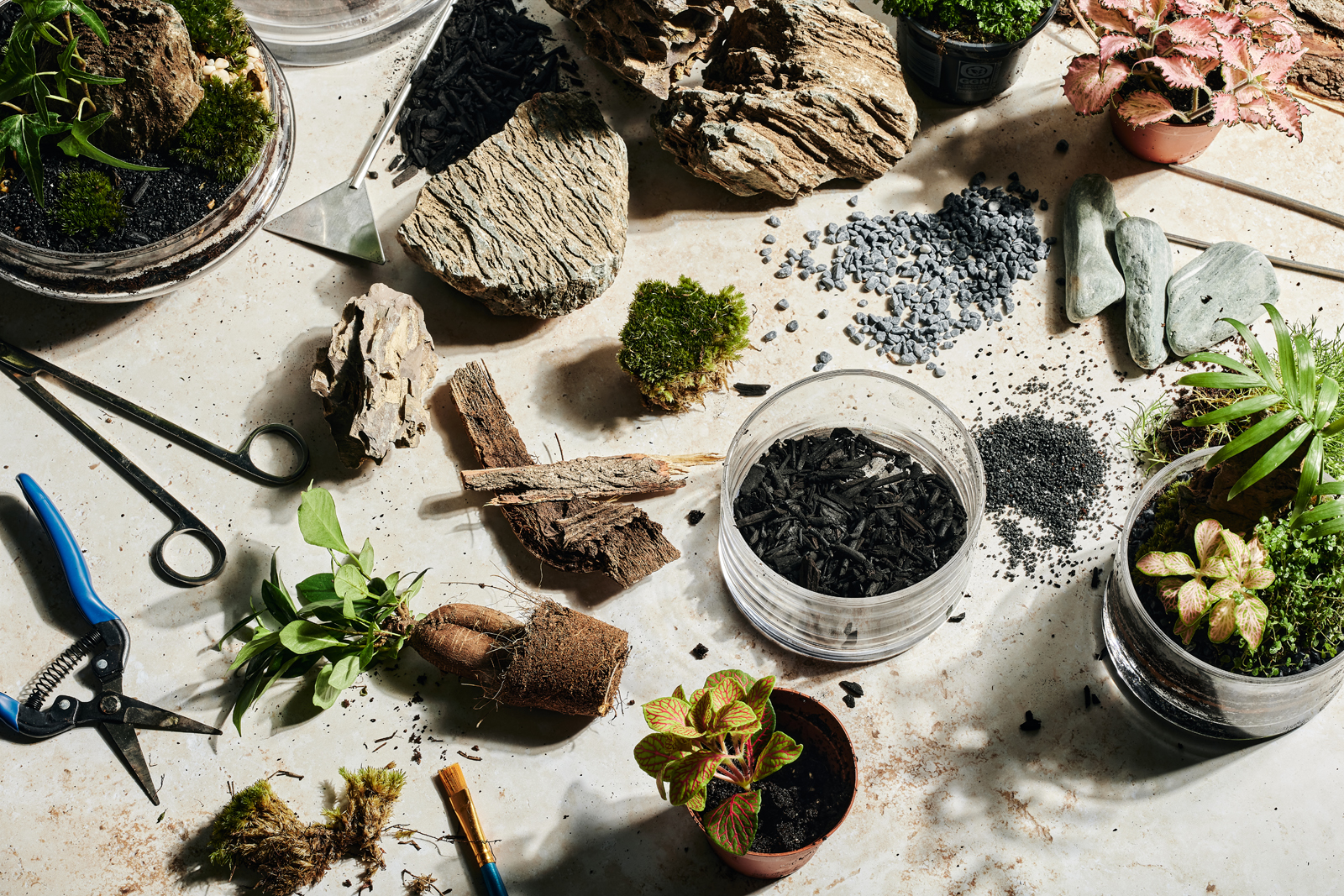 Choose 10.2.214669.jpg