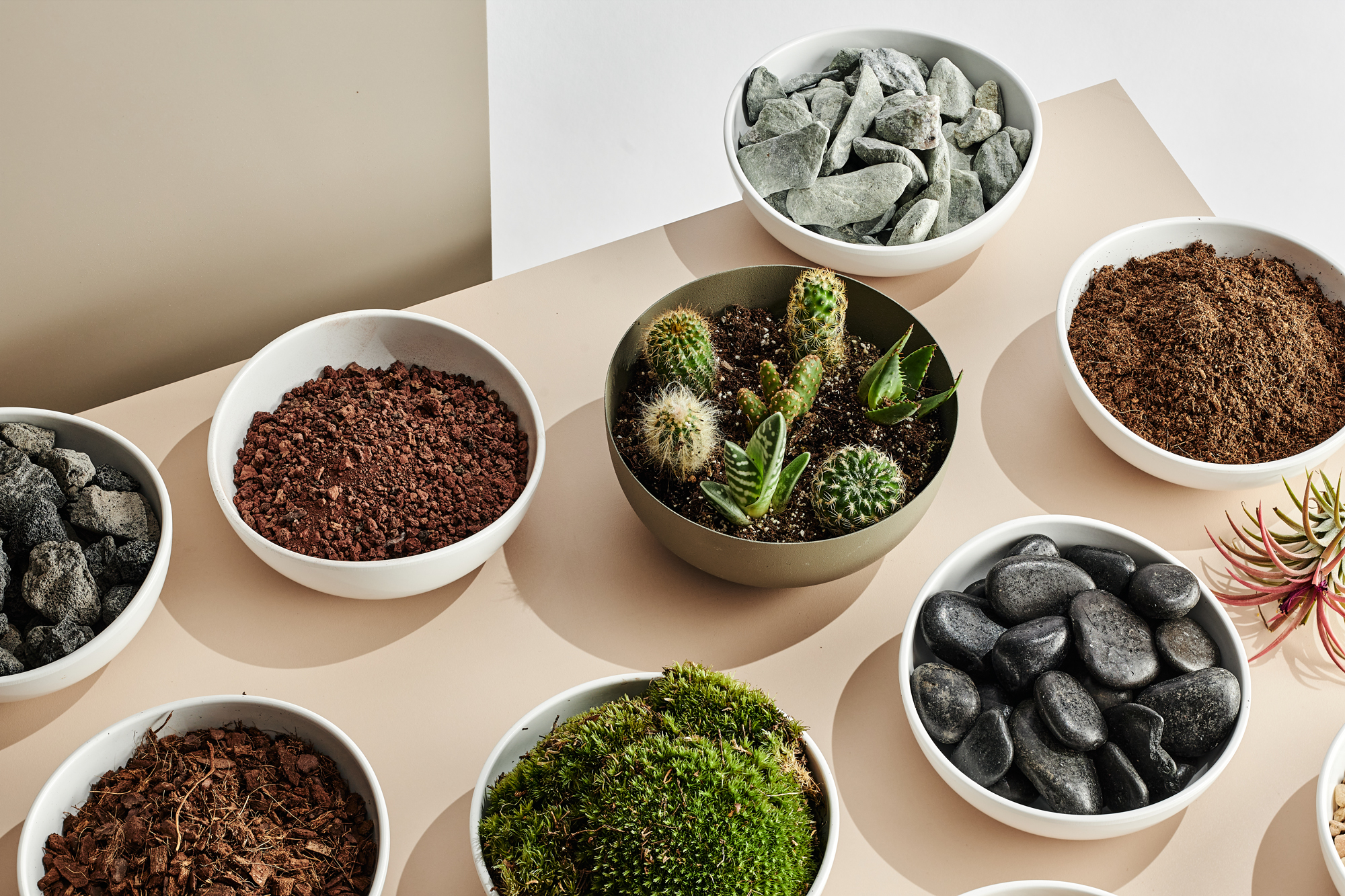 Untitled Capture2112.jpg