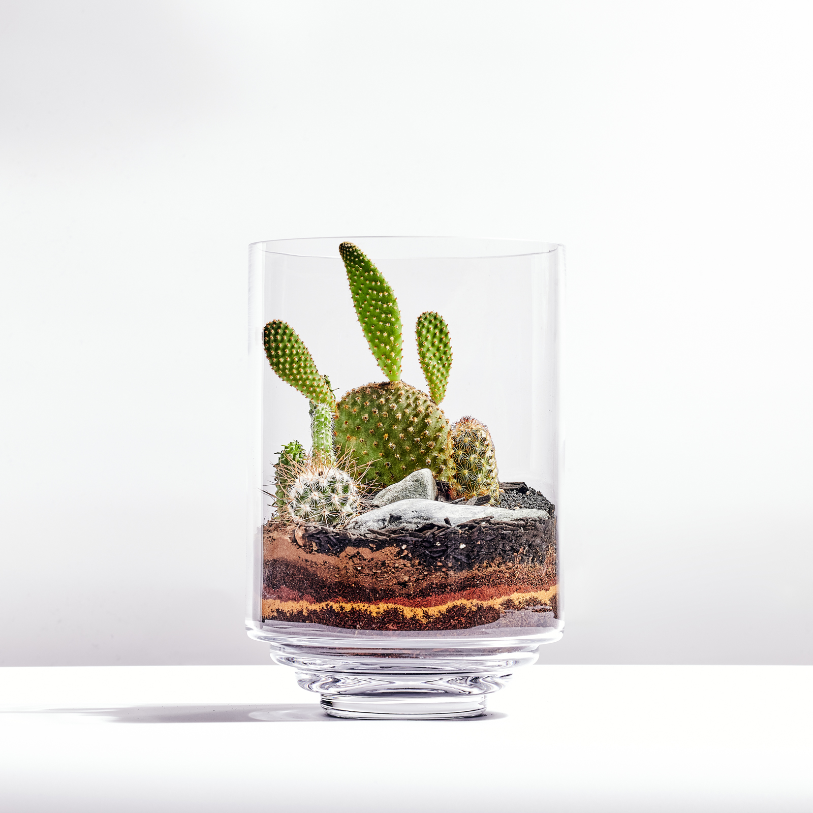 Choose 10.2.214404.jpg