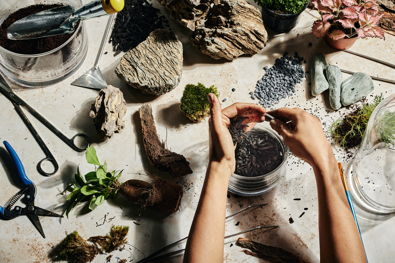 Choose 10.2.214656.jpg