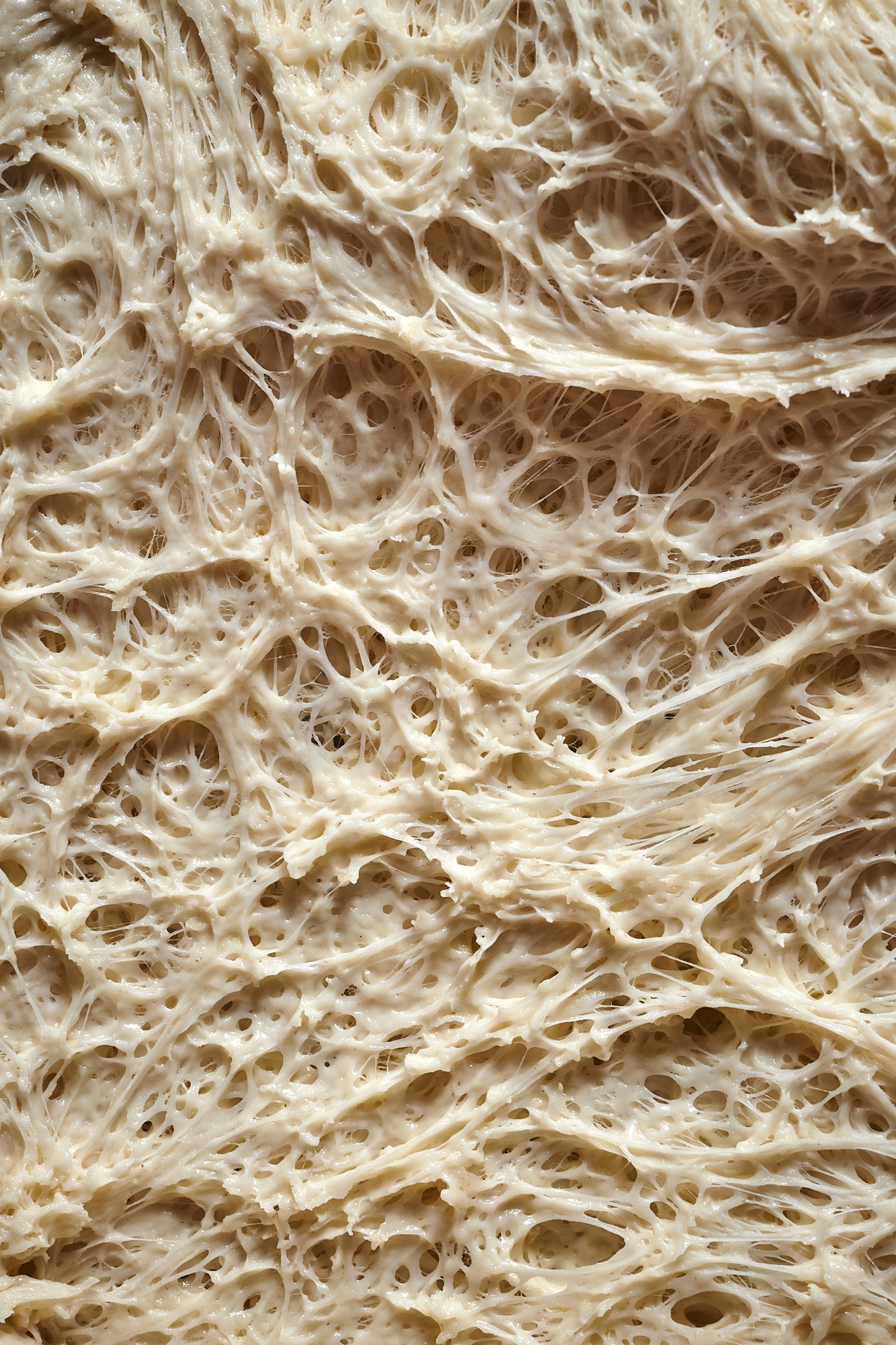 Untitled Capture7658 1.jpg