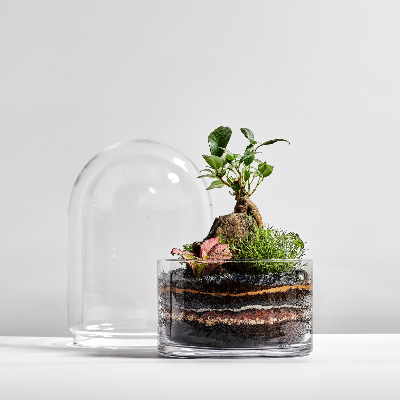 Choose 10.2.214307.jpg