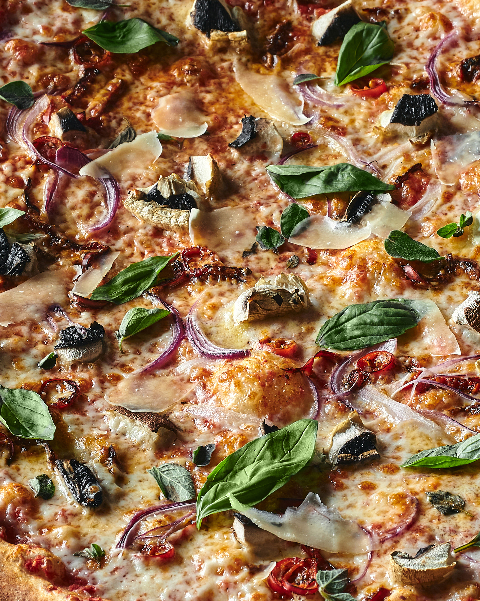 Untitled Capture7781.jpg