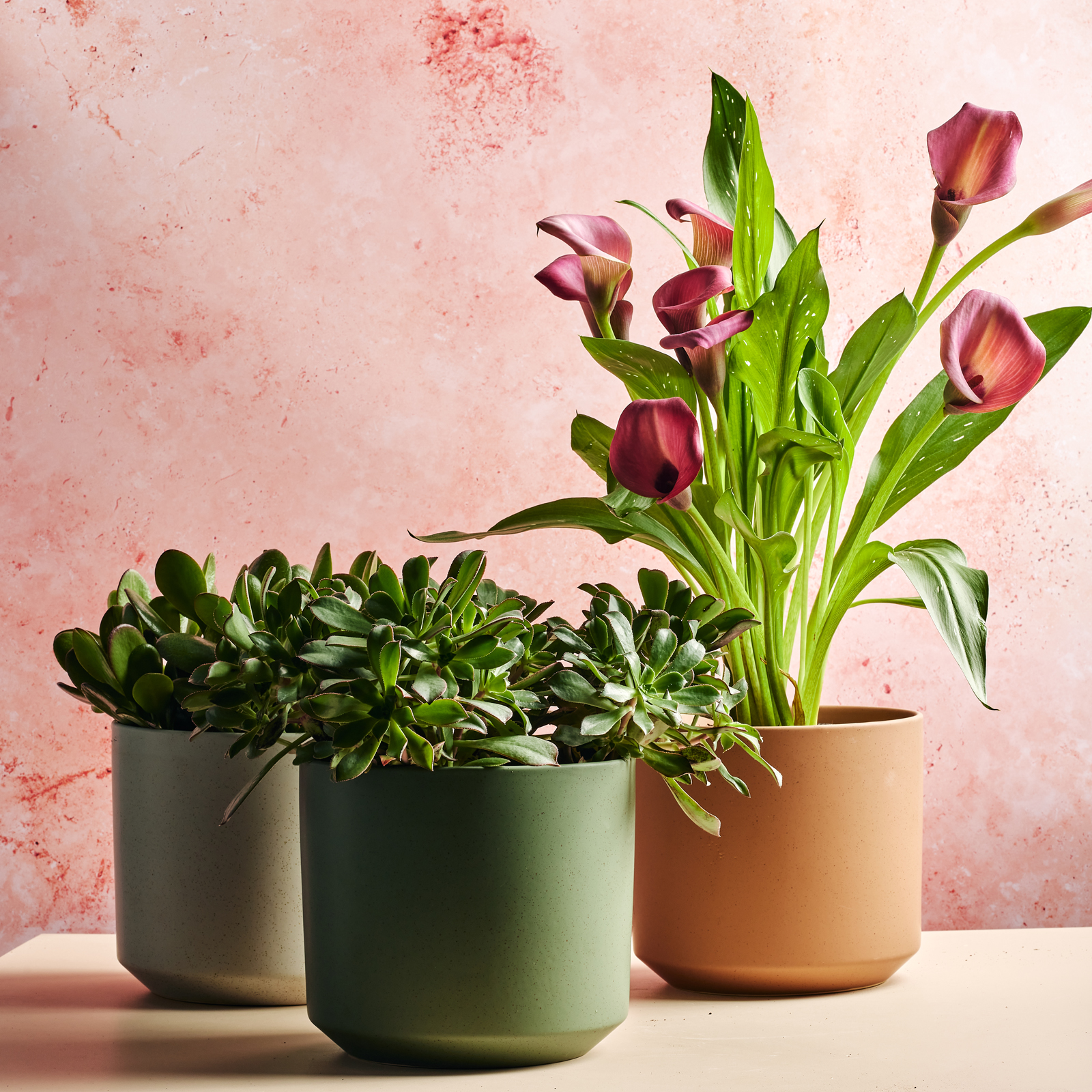 Choose 10.2.214732.jpg