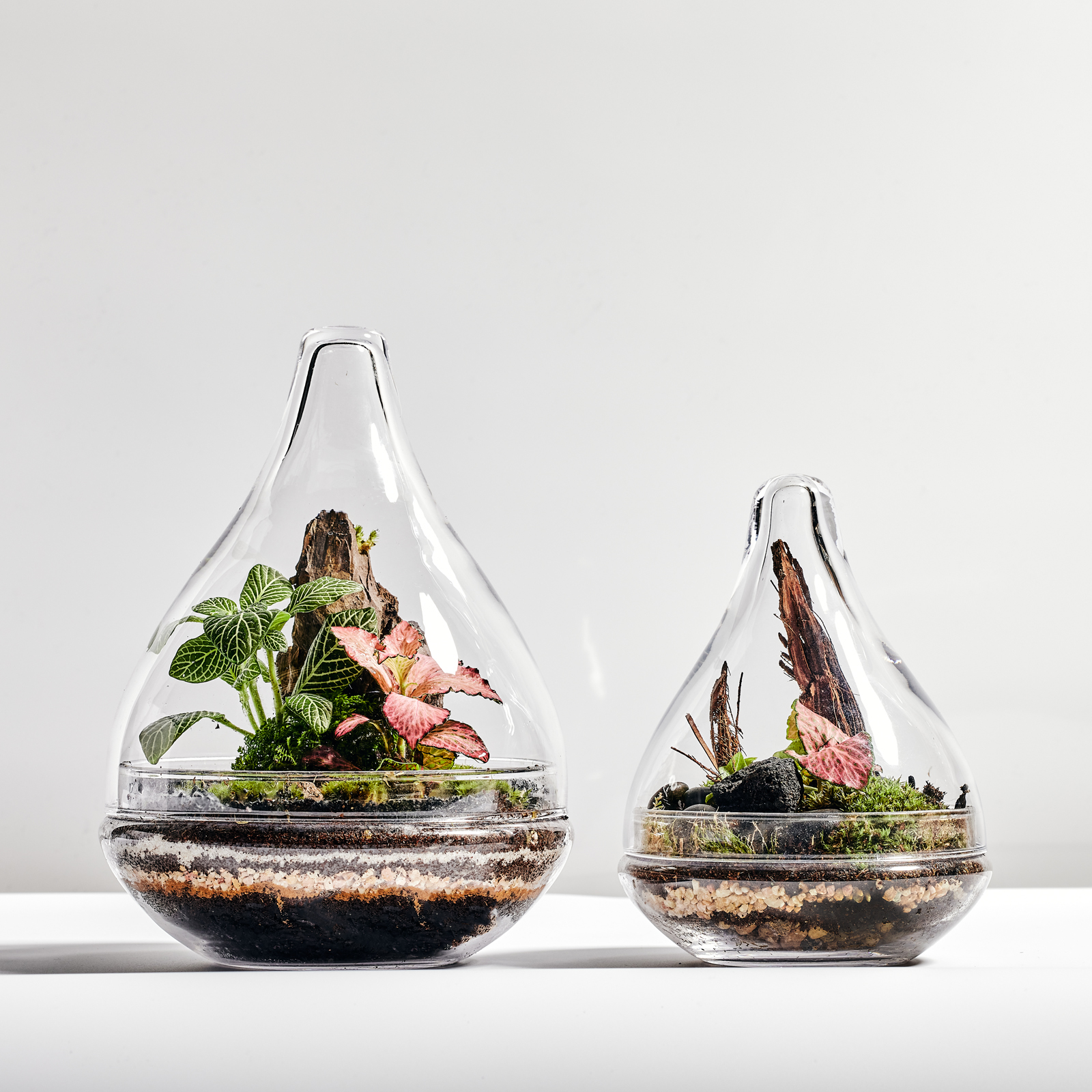 Choose 10.2.214351.jpg