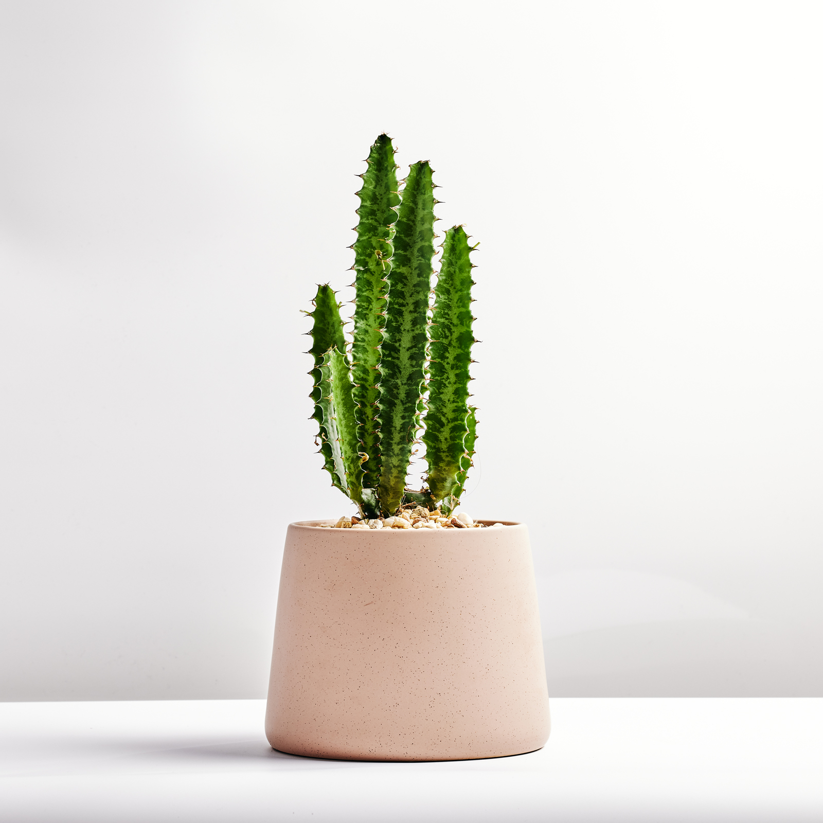 Choose 10.2.214431.jpg