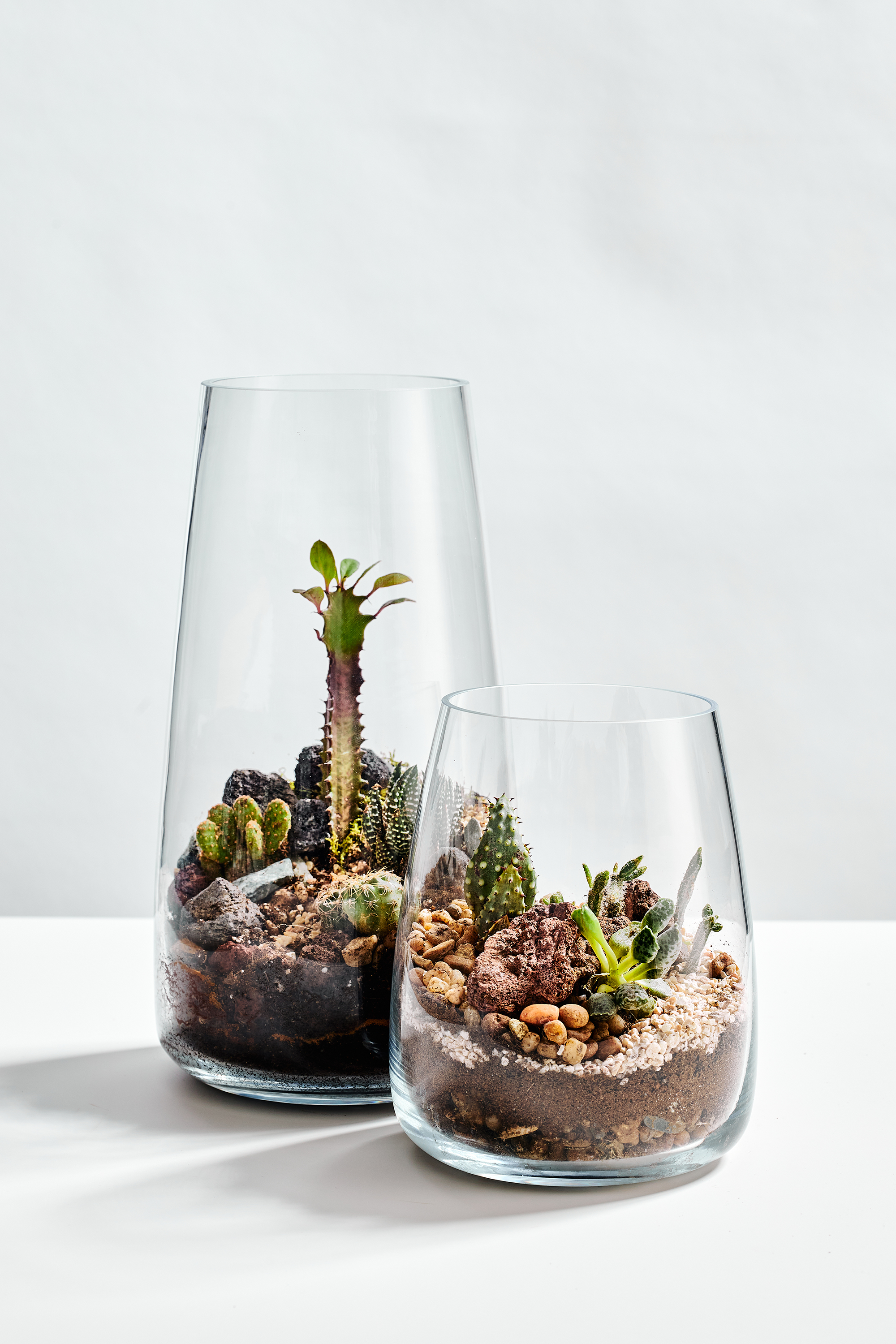 Untitled Capture1806 copy.jpg