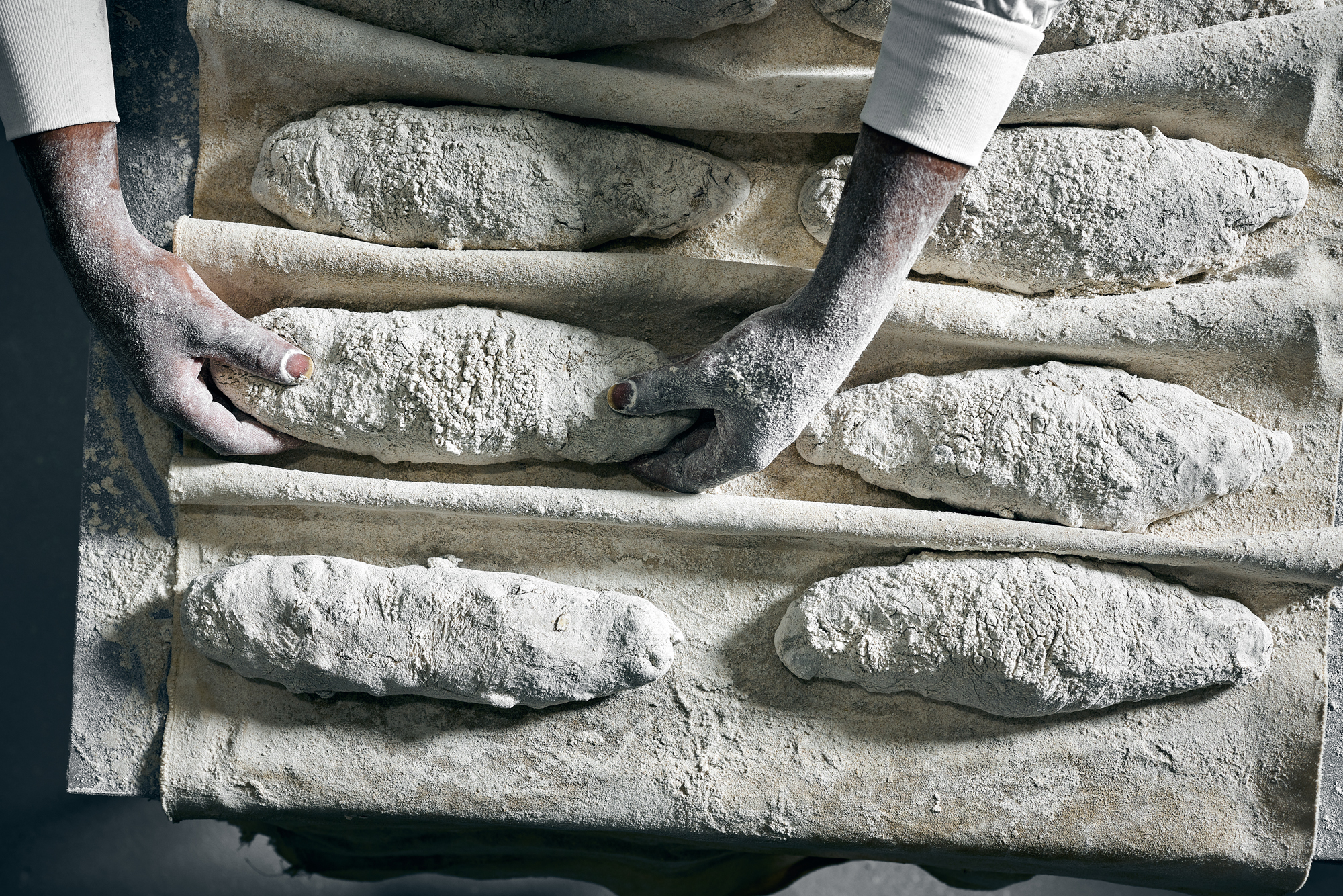 Rolladin 16.6.2114159.jpg