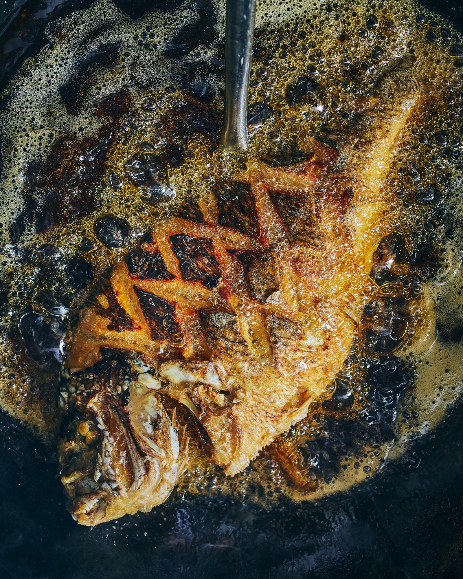 Untitled Capture8234.jpg