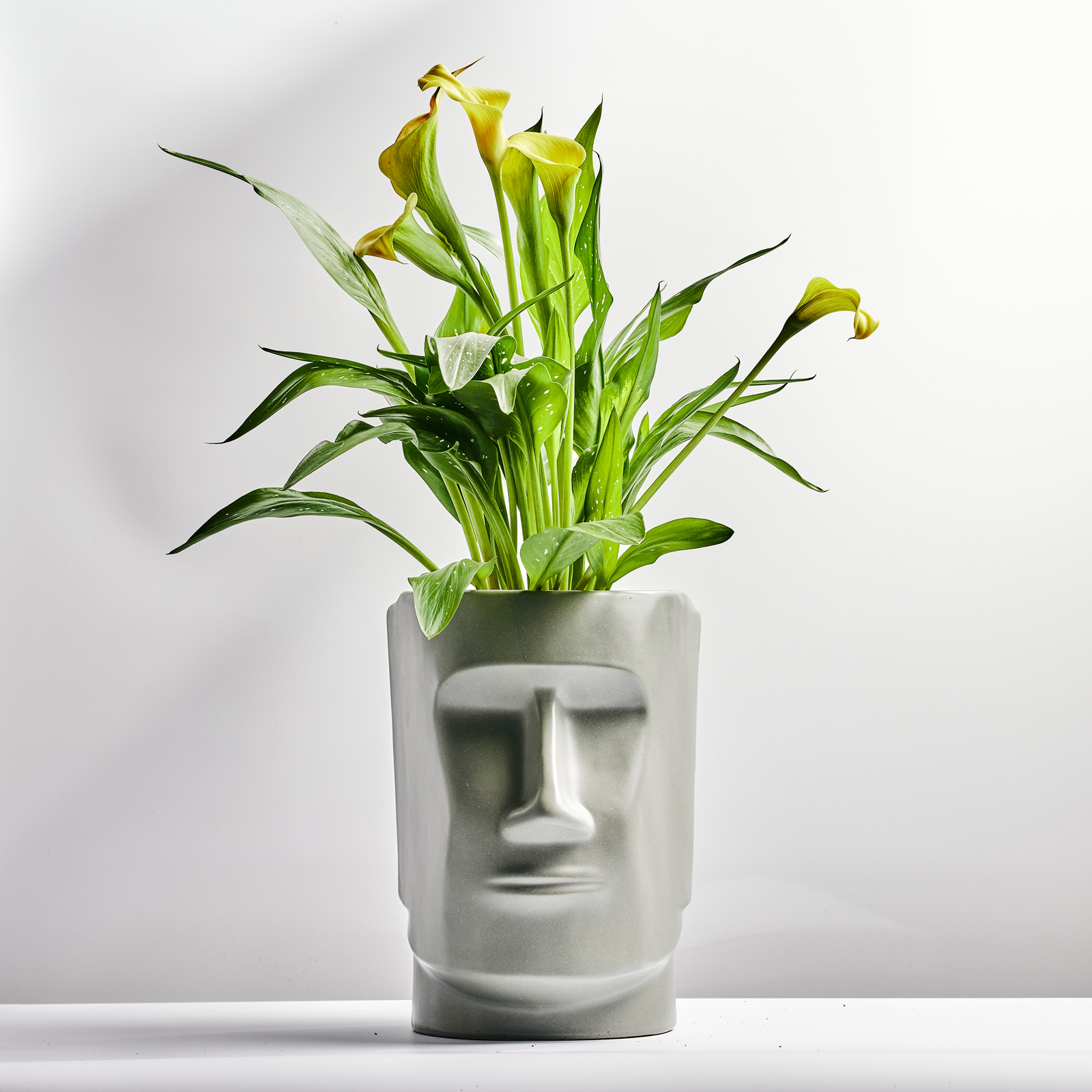 Choose 10.2.214433.jpg