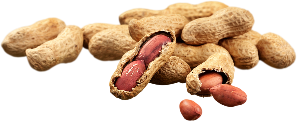 MILK HAZELNUT CREAM (57).png