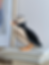 Lovi Puffin 20cm - Black Mix - standing on book