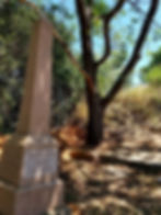 "Tree of Life", Plot of Johanna Kane