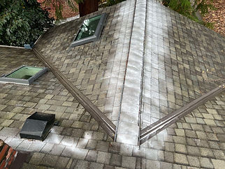 perfectly cleaned roof, chemical treatment and skylight cleaning by Husser