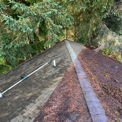 Collage Photo Of A Before/After Comparison Of a Shingle Roof Showing A heavy Moss and Debris Covered Roof - And A Perfectly Cleaned Roof After Husser's Expert Moss Removal