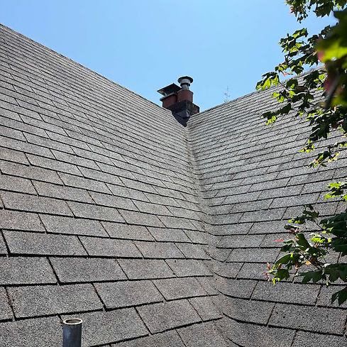 After photo of moss removal and gutter cleaning in Edmonds by Husser