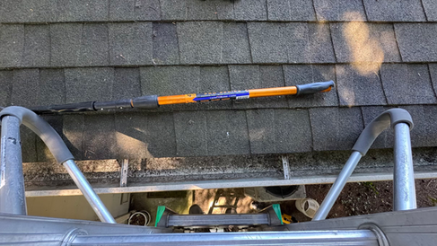 Husser technician removing all pine needles and debris from a gutter on a home in Burien, WA during late summer