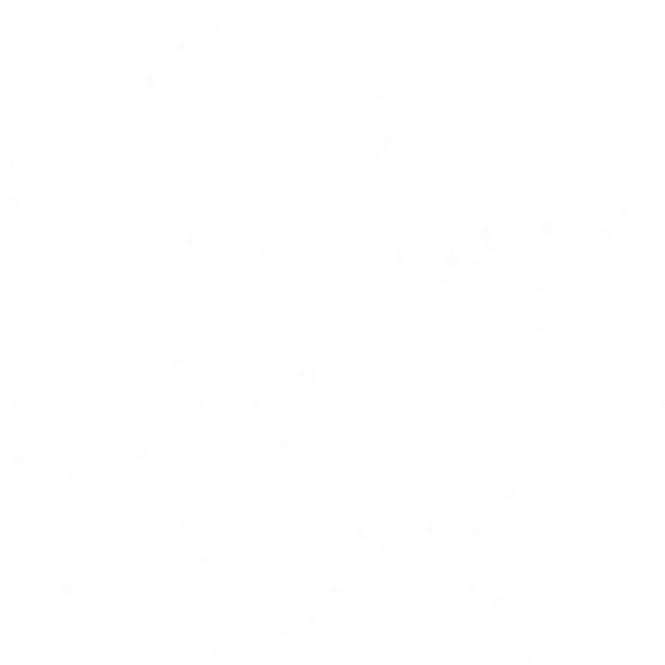 snow02.gif