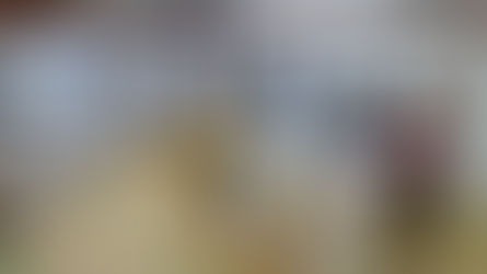 11/1天理練成会　抜き合気