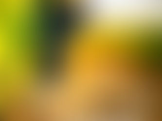 6. YO SOY LA VID VERDADERA - Sábado, 25 Oct 2025