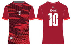 Uniforme deportivos futbol 253