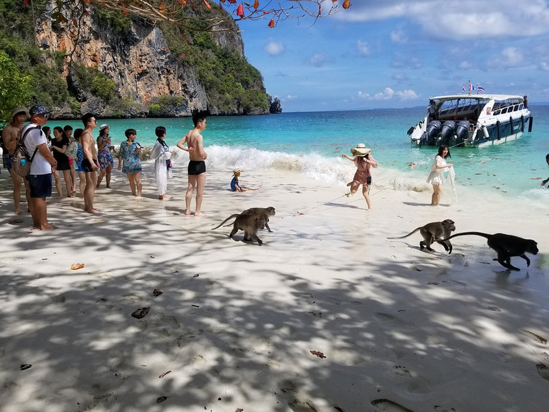 Maya Bay & Phi Phi Islands Tour