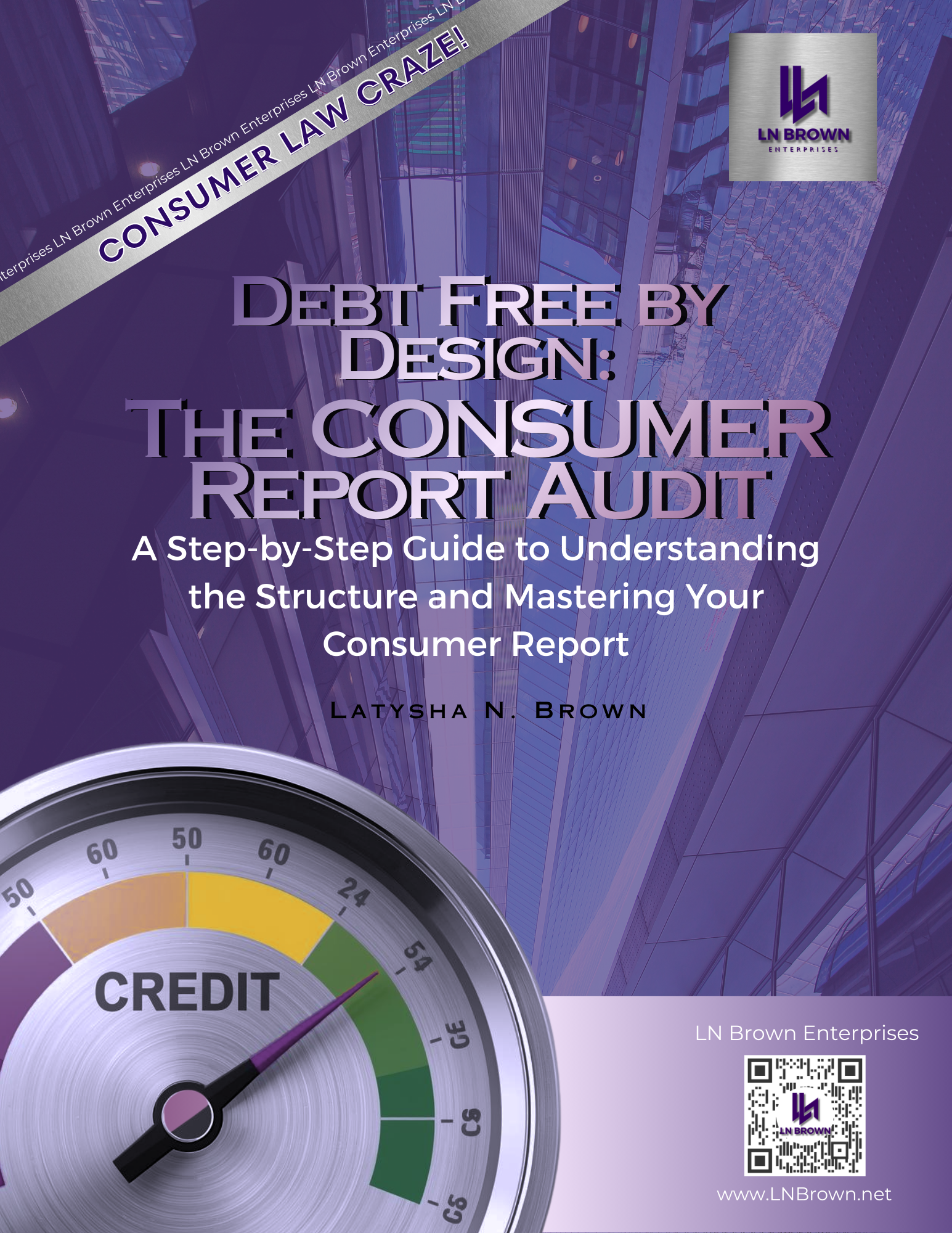 Consumer Report Audit Workbook