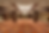 Screenshot 2026-06-12 at 7.59.16 AM.png