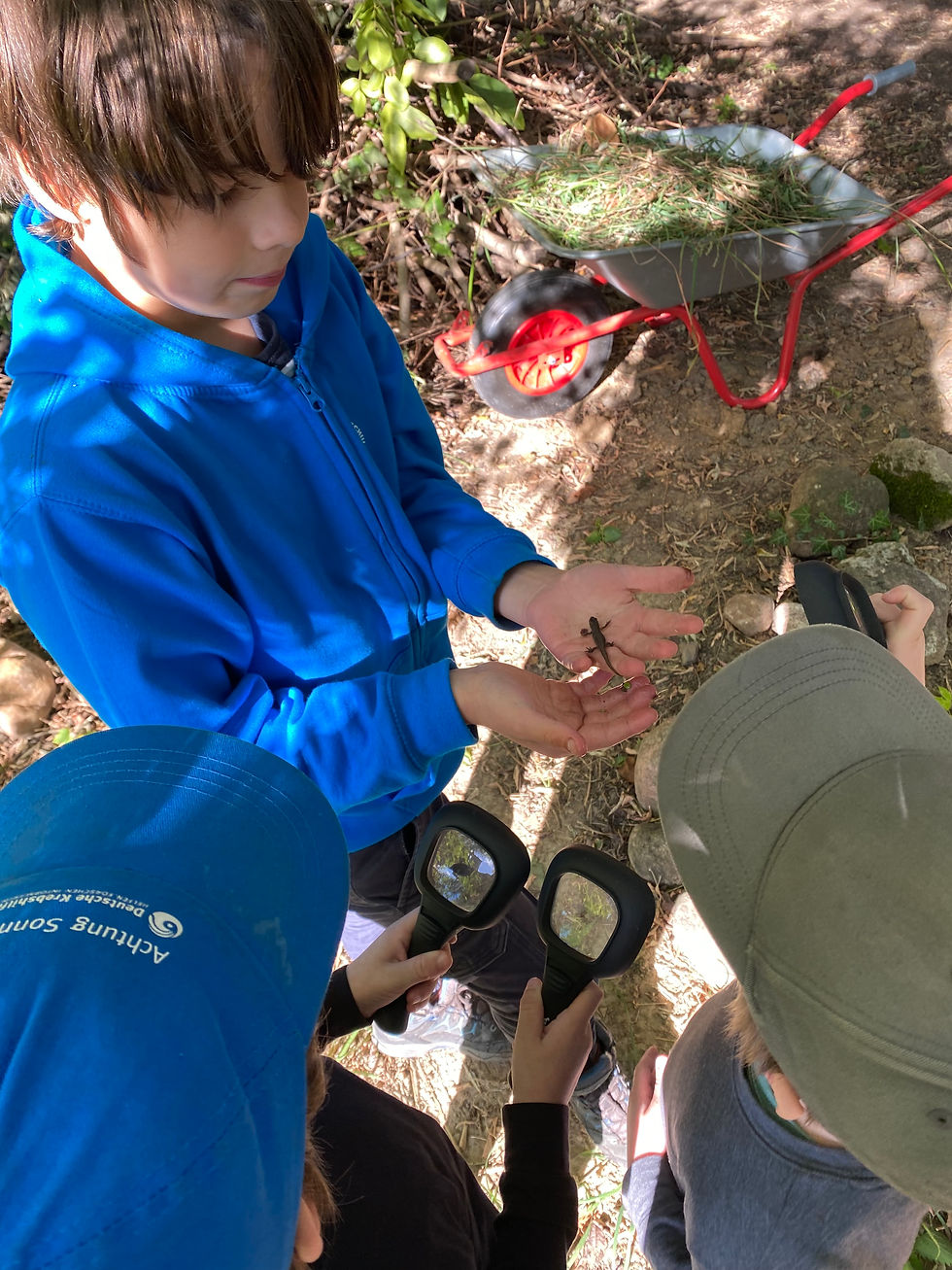 (c) Lea-Annabell Schneider