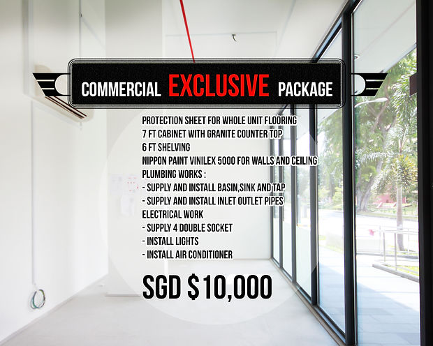 COMMERCIAL PROJECT 3.jpg