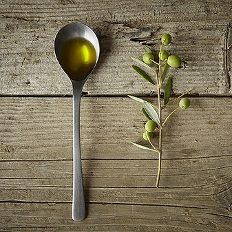 Olive Branch and Olive Oil