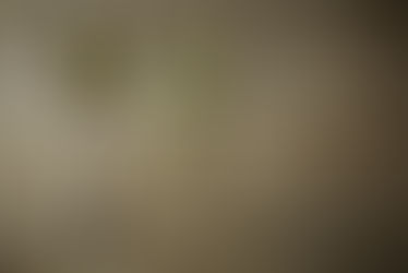 橄欖油加檸檬汁,是美味?還是排結石?