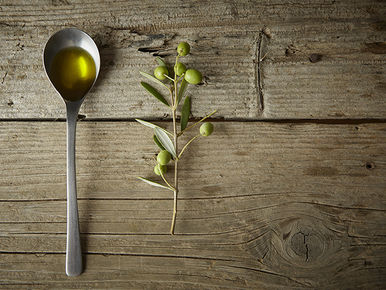 Raccolta delle olive e qualità dell’olio: come il metodo di raccolta influisce sul sapore