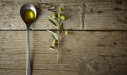 Olive Branch and Olive Oil