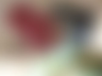 Almanya’ya Gidiş Hazırlığı