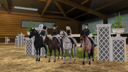 Springstunde Western Manes SSO