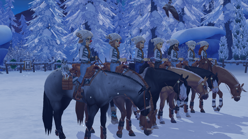 Gruppenfoto Winterdorf Western Manes SSO