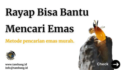 Memanfaatkan Rayap untuk Deteksi Emas: Pendekatan yang Efisien dan Hemat Biaya