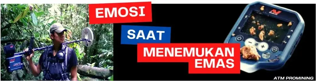 peralatan-detektor-khusus-untuk-emas.webp