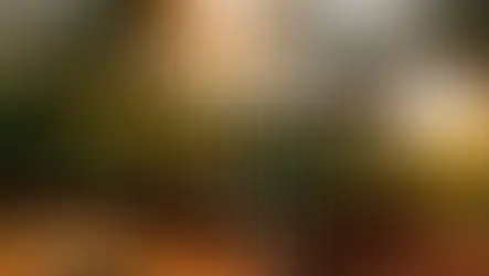 Masalah Tambang Rakyat di Indonesia