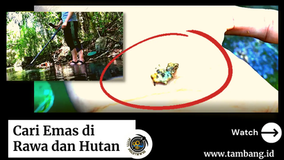 Deteksi Emas di Rawa dan Hutan