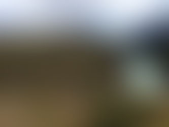 Cycling slowly along the amazing Rio Baker